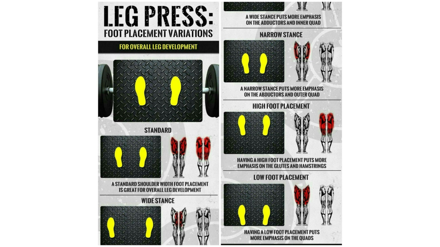 position-des-pieds-sur-la-leg-press-cuisses-fessiers-mollets