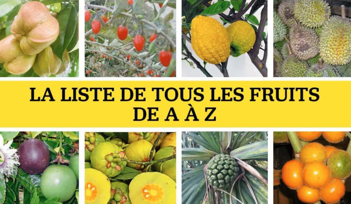 Programme Musculation 5 Jours Complet
